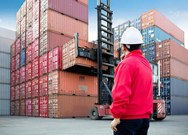 Warehousing Storage and Management